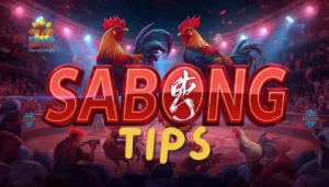 Sabong Tips ng SW418: Paano Manalo Guide